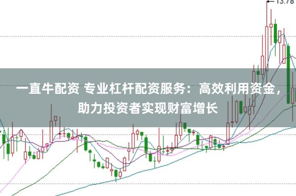 一直牛配资 专业杠杆配资服务：高效利用资金，助力投资者实现财富增长
