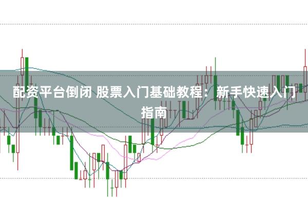 配资平台倒闭 股票入门基础教程：新手快速入门指南