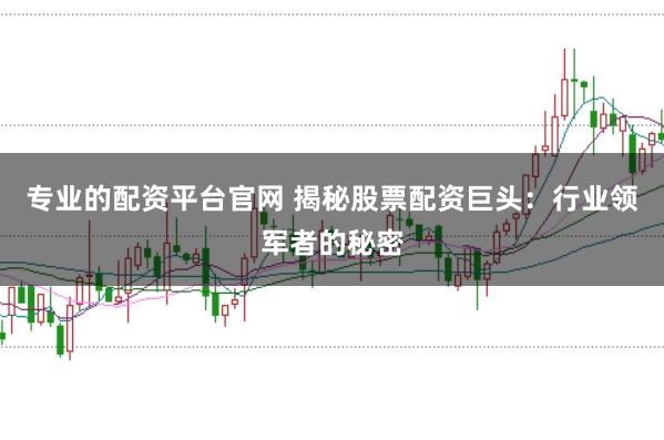 专业的配资平台官网 揭秘股票配资巨头：行业领军者的秘密