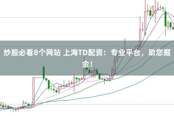 炒股必看8个网站 上海TD配资：专业平台，助您掘金！