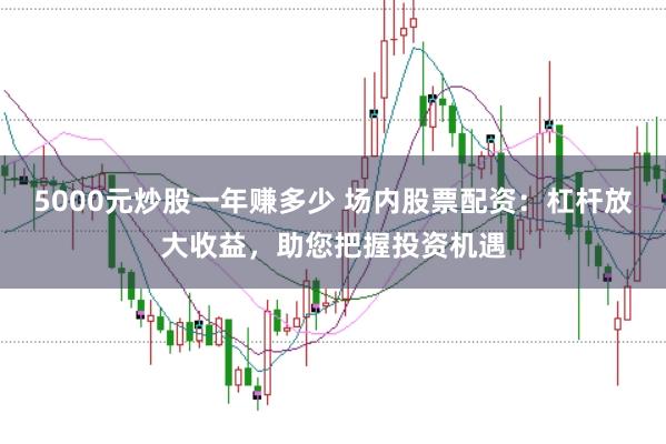 5000元炒股一年赚多少 场内股票配资:杠杆放大收益,助您把握投资机遇