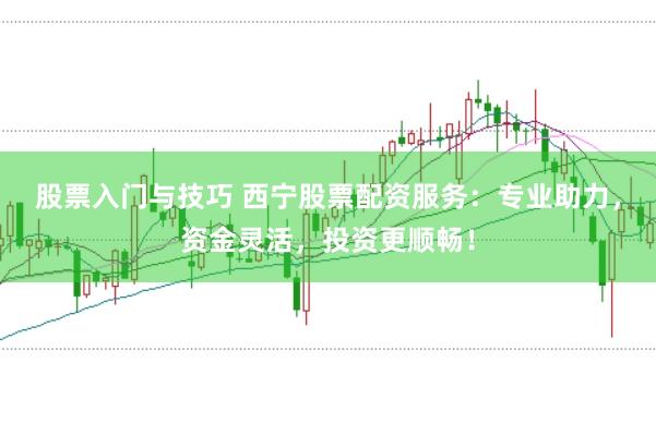 股票入门与技巧 西宁股票配资服务：专业助力，资金灵活，投资更顺畅！