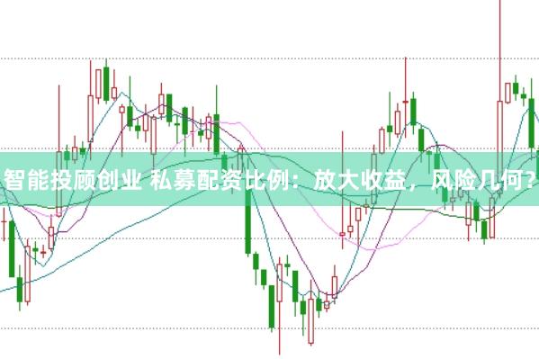 智能投顾创业 私募配资比例：放大收益，风险几何？