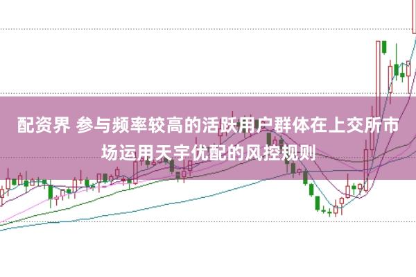 配资界 参与频率较高的活跃用户群体在上交所市场运用天宇优配的风控规则