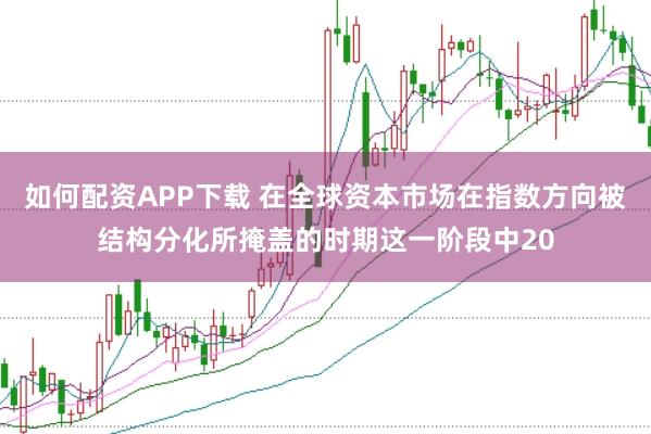 如何配资APP下载 在全球资本市场在指数方向被结构分化所掩盖的时期这一阶段中20