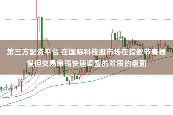 第三方配资平台 在国际科技股市场在指数节奏缓慢但交易策略快速调整的阶段的盘面