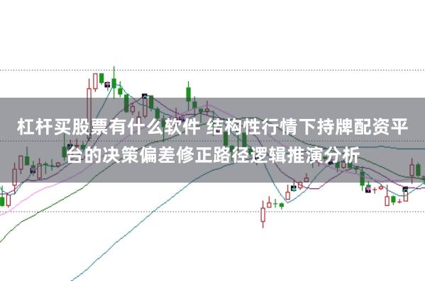 杠杆买股票有什么软件 结构性行情下持牌配资平台的决策偏差修正路径逻辑推演分析