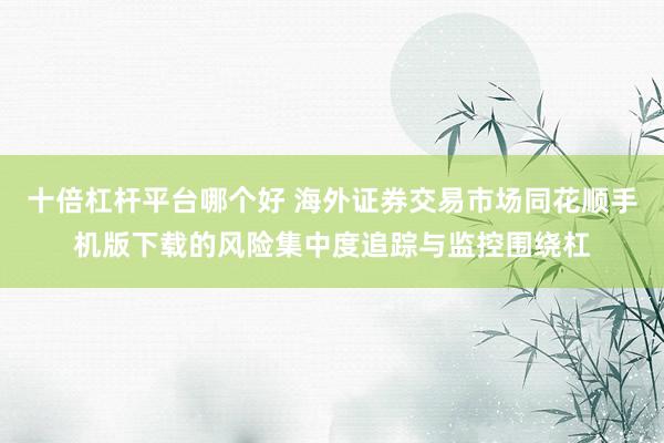 十倍杠杆平台哪个好 海外证券交易市场同花顺手机版下载的风险集中度追踪与监控围绕杠
