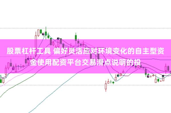 股票杠杆工具 偏好灵活应对环境变化的自主型资金使用配资平台交易滑点说明的投