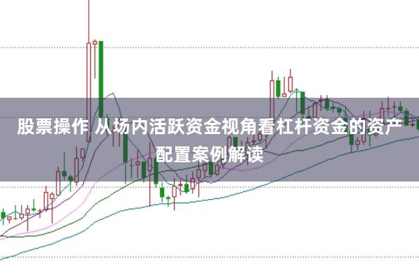股票操作 从场内活跃资金视角看杠杆资金的资产配置案例解读