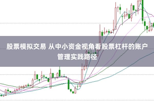 股票模拟交易 从中小资金视角看股票杠杆的账户管理实践路径
