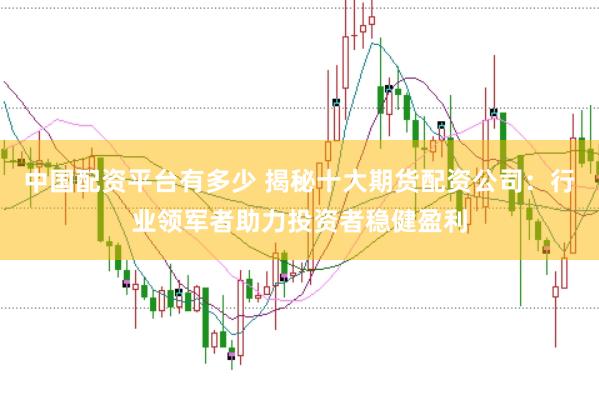 中国配资平台有多少 揭秘十大期货配资公司：行业领军者助力投资者稳健盈利