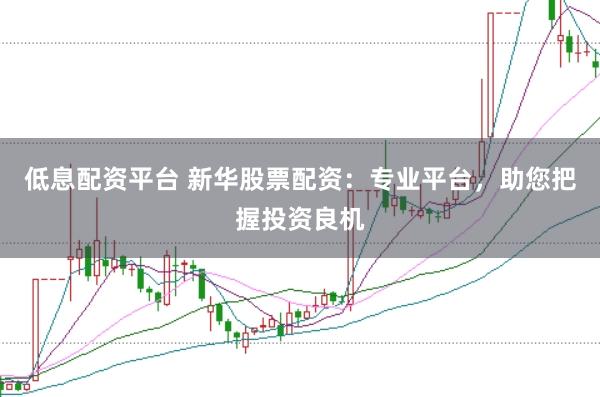 低息配资平台 新华股票配资：专业平台，助您把握投资良机