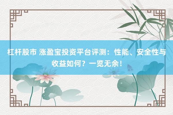 杠杆股市 涨盈宝投资平台评测：性能、安全性与收益如何？一览无余！