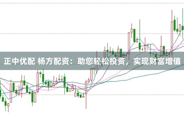 正中优配 杨方配资：助您轻松投资，实现财富增值