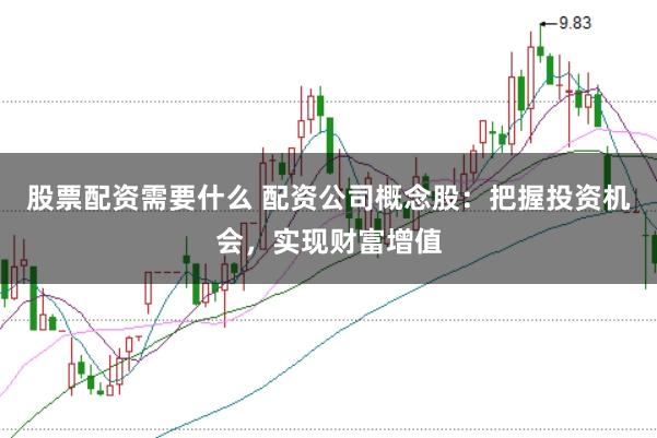 股票配资需要什么 配资公司概念股：把握投资机会，实现财富增值