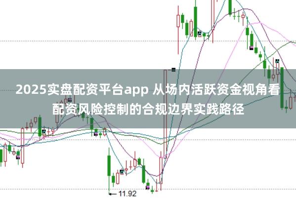 2025实盘配资平台app 从场内活跃资金视角看配资风险控制的合规边界实践路径