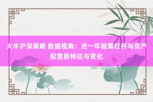 大牛沪深策略 数据视角：近一年股票杠杆与资产配置新特征与变化