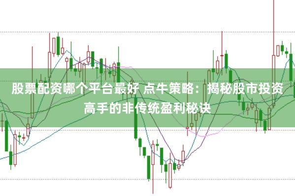 股票配资哪个平台最好 点牛策略：揭秘股市投资高手的非传统盈利秘诀