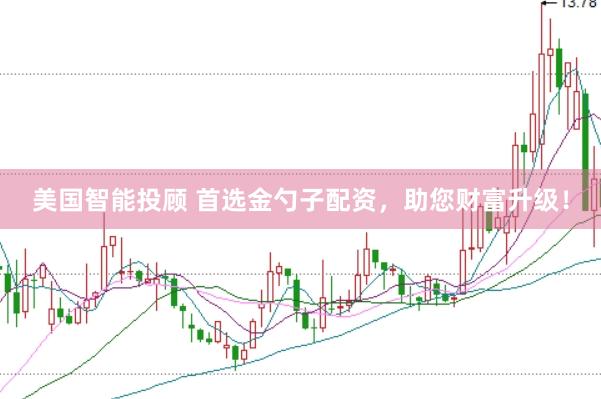 美国智能投顾 首选金勺子配资，助您财富升级！
