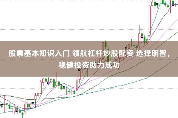 股票基本知识入门 领航杠杆炒股配资 选择明智，稳健投资助力成功
