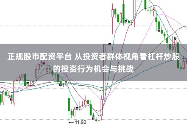 正规股市配资平台 从投资者群体视角看杠杆炒股的投资行为机会与挑战